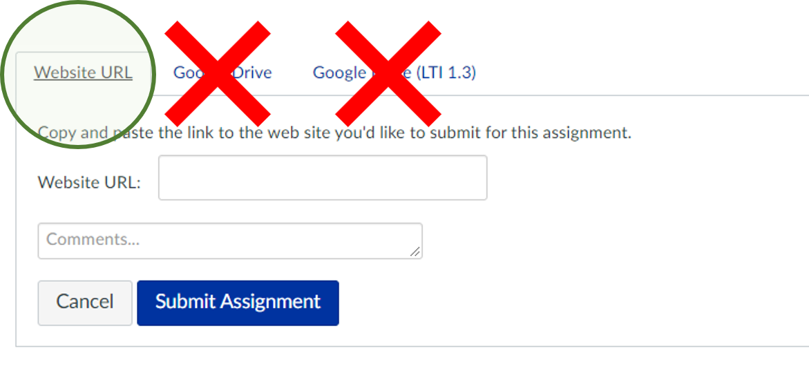 Image of the assignment submission interface with the Website URL option circled and the options for Google Drive and Google Drive LTI crossed out.